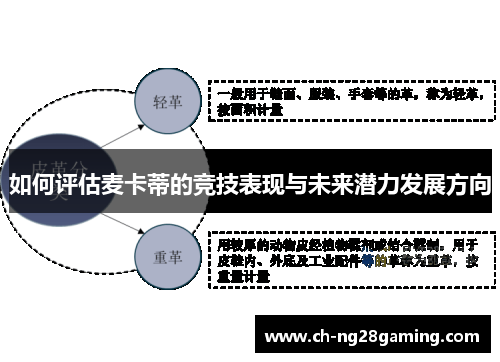 如何评估麦卡蒂的竞技表现与未来潜力发展方向