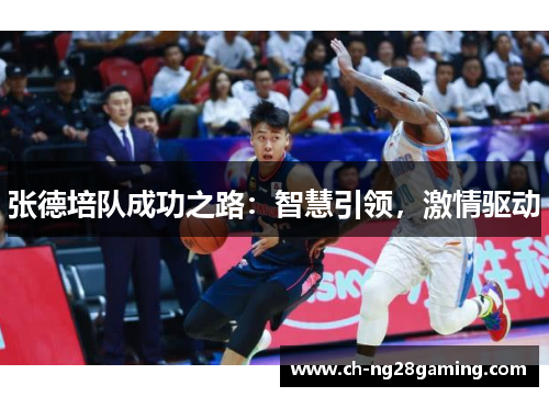 张德培队成功之路：智慧引领，激情驱动