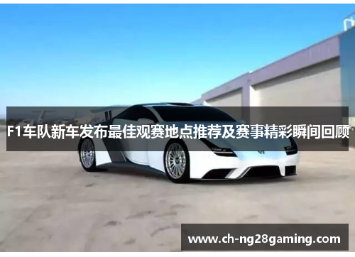 F1车队新车发布最佳观赛地点推荐及赛事精彩瞬间回顾