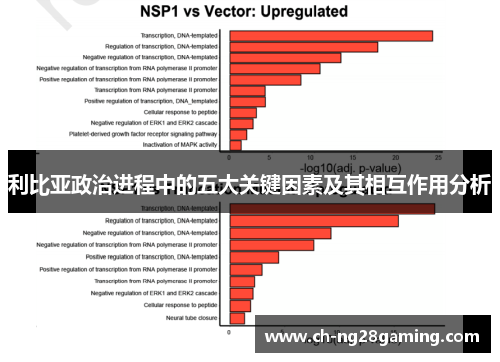 利比亚政治进程中的五大关键因素及其相互作用分析
