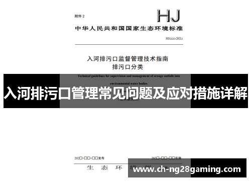 入河排污口管理常见问题及应对措施详解 入河排污口管理常见问题及应对措施详解
