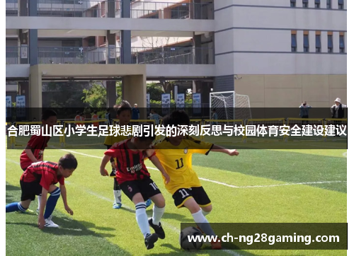 合肥蜀山区小学生足球悲剧引发的深刻反思与校园体育安全建设建议