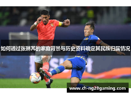 如何通过张琳芃的家庭背景与历史资料确定其民族归属情况