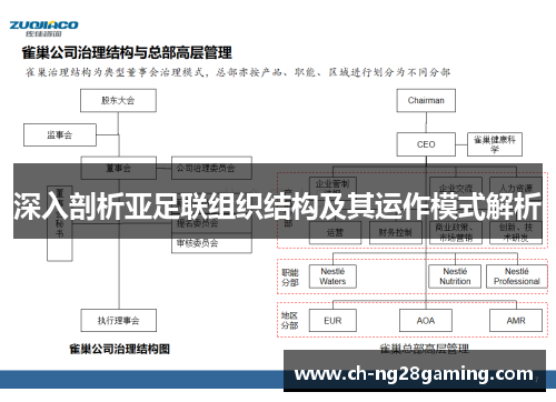 深入剖析亚足联组织结构及其运作模式解析