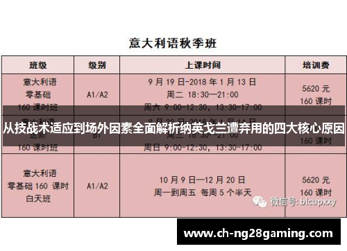 从技战术适应到场外因素全面解析纳英戈兰遭弃用的四大核心原因 从技战术适应到场外因素全面解析纳英戈兰遭弃用的四大核心原因