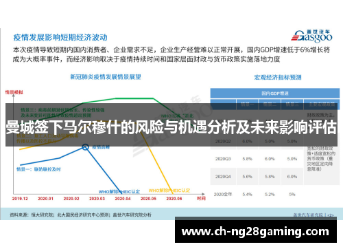 曼城签下马尔穆什的风险与机遇分析及未来影响评估 曼城签下马尔穆什的风险与机遇分析及未来影响评估