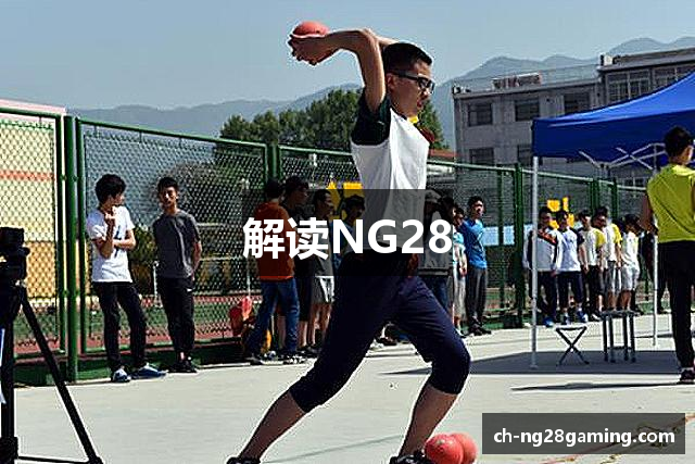解读NG28